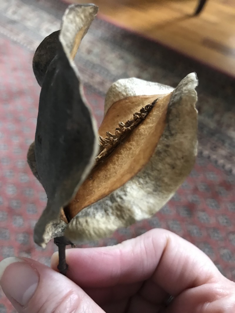 cd8b2cf3-210e-4ab9-96e3-19d0723cdf1e