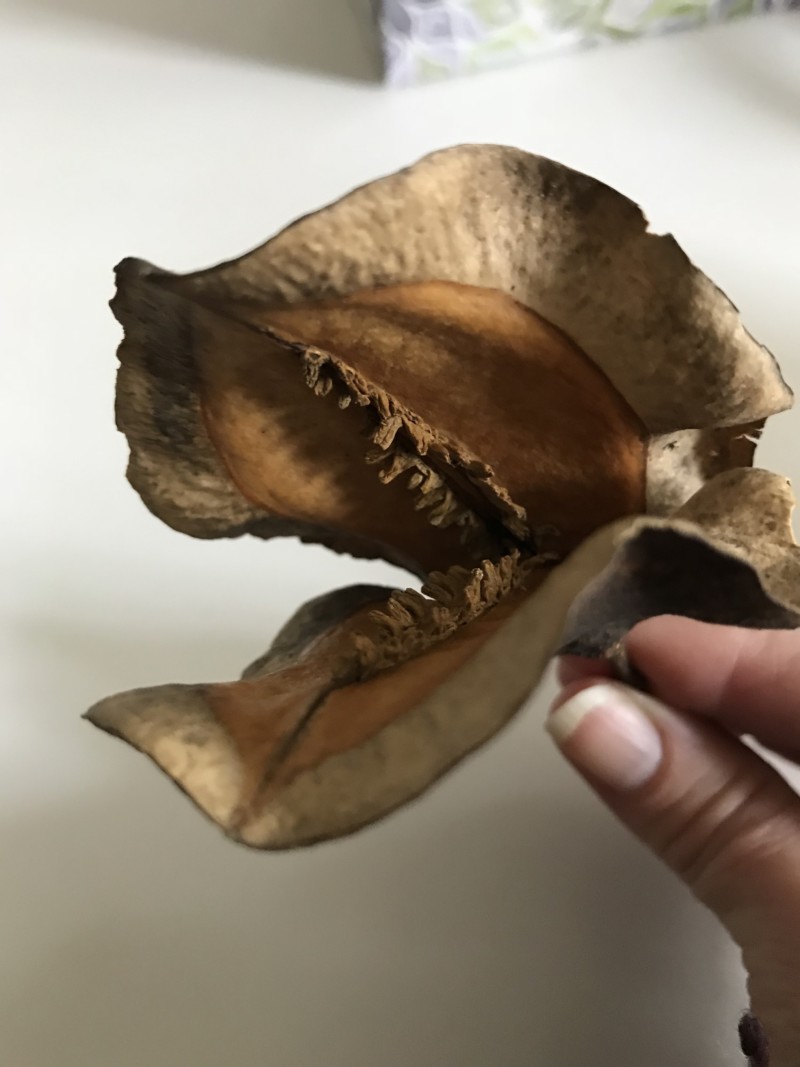 d66a7c3b-980b-49eb-9ca9-a337910d55ac