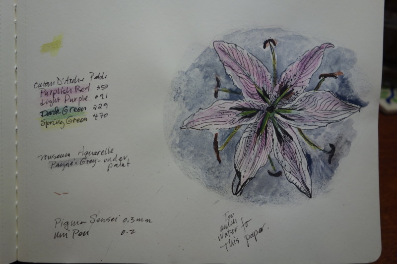 stargazer-lily-in-the-round