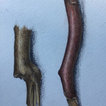 branches-2