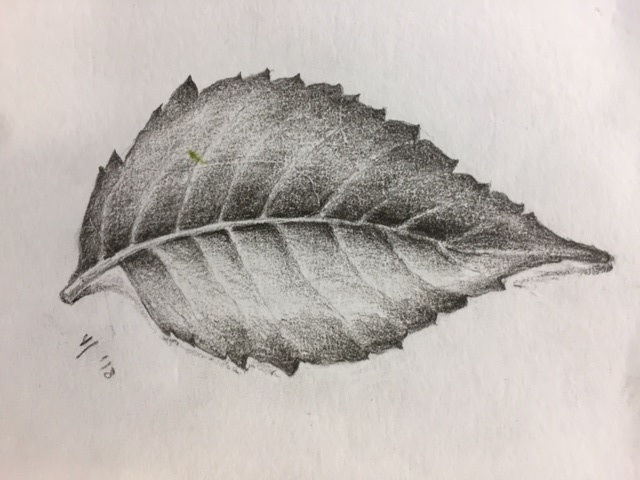 leaf