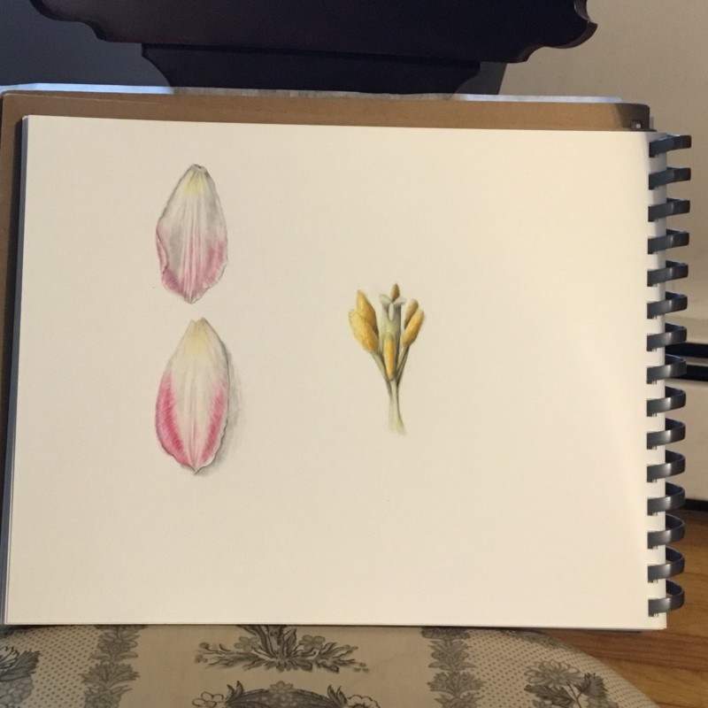 324a7871-8e7b-4f76-b02c-9ed7dd108bcb