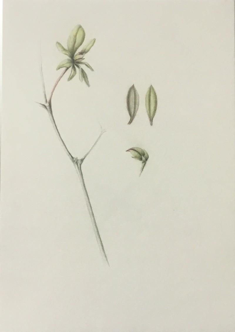 a613ba17-8729-4436-82c1-e97479705f09