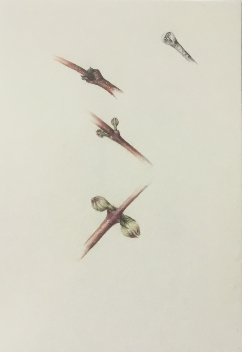 a9e4a06a-6311-45a0-a5e2-c10c101735b5