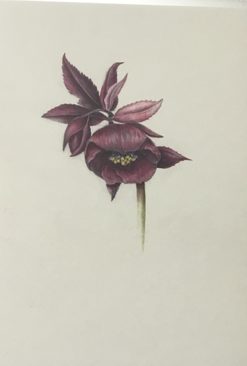 ea9e71f8-d66d-4c2f-83f6-dea52d36107a