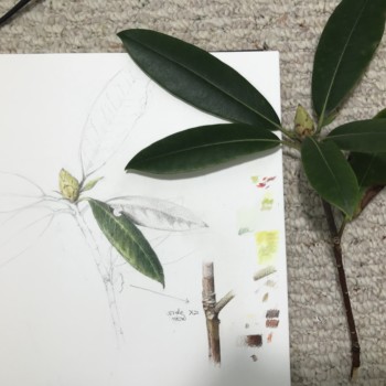 0180c957-54a1-4214-9687-f4e95cfb46fb