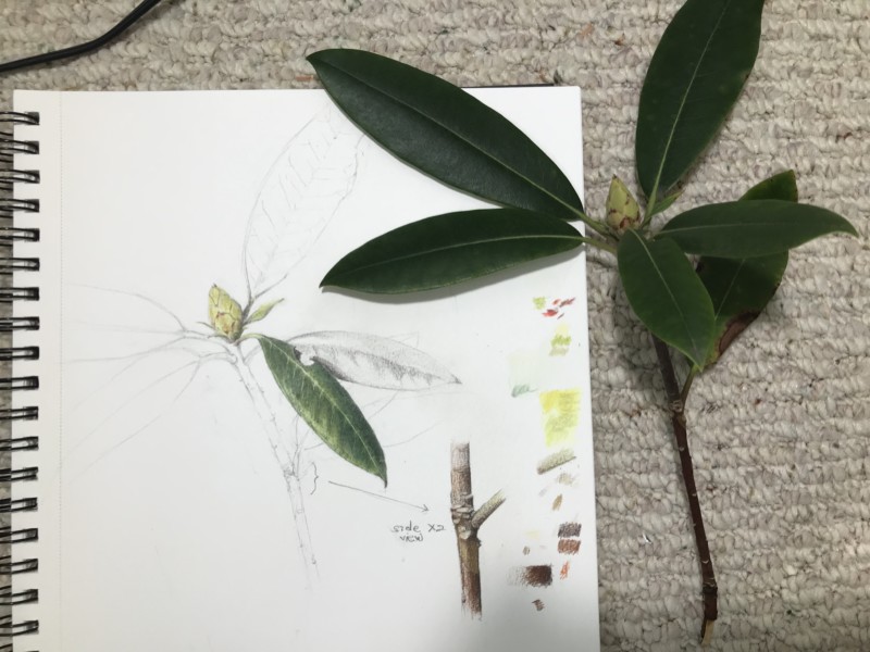 0180c957-54a1-4214-9687-f4e95cfb46fb