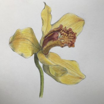 9051647f-7603-4f1b-884f-1fb3a6681e98