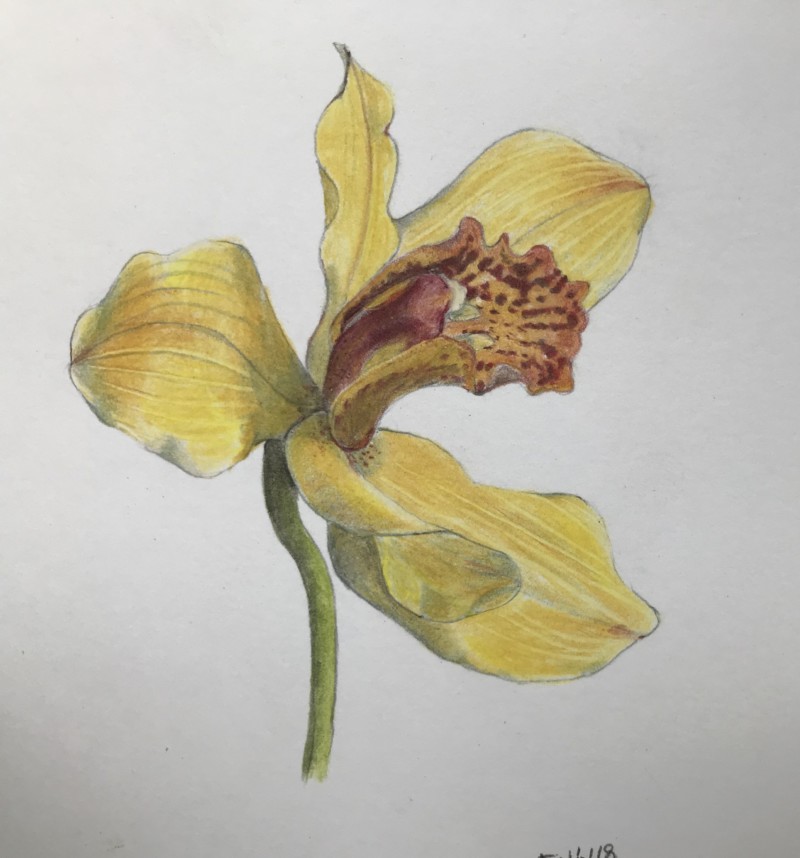 9051647f-7603-4f1b-884f-1fb3a6681e98