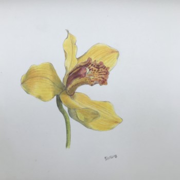 993760f2-2506-4281-bd7a-080410935c8e