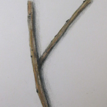 single-twig