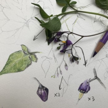 327069f3-8056-436d-ad7b-620503cc8215