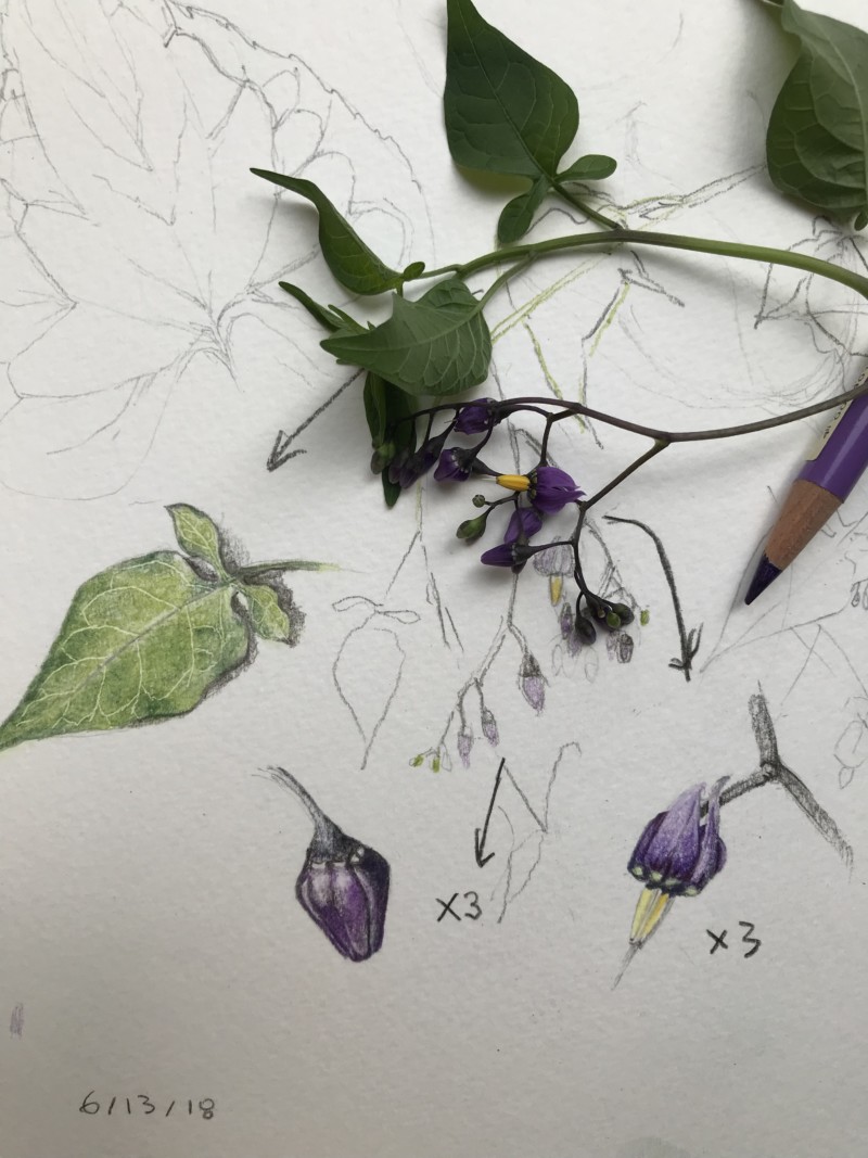 327069f3-8056-436d-ad7b-620503cc8215