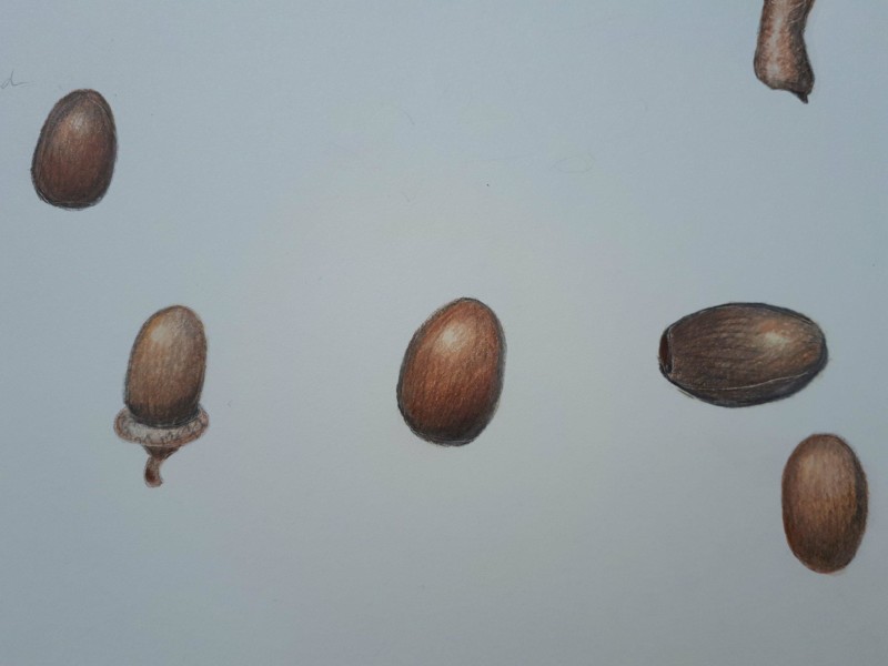 34367977_10156549441256977_2723598449277665280_n