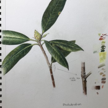 fe39ce8c-eb1e-4185-a34a-5bd8c8afca54