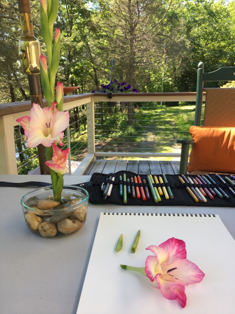 gladiola-set-up