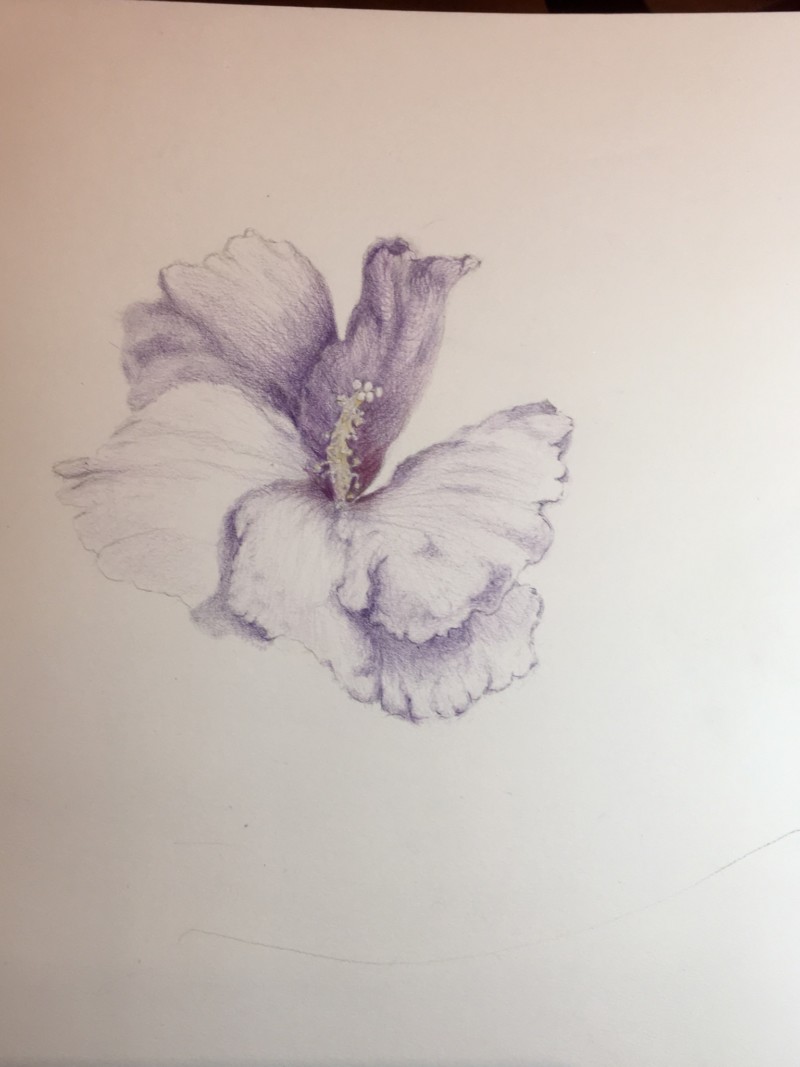 53952688-a143-4583-af49-e34bd5af9df5