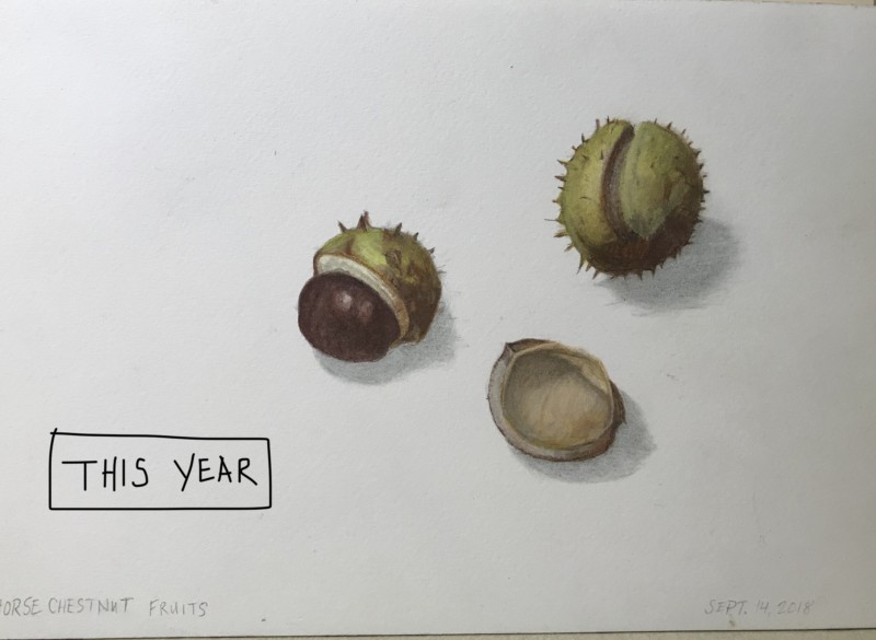 06693e0d-e3a4-484d-a45a-bf5eec69119d