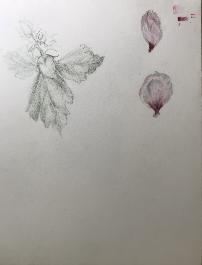 23e4ba24-6e09-4ac8-8039-764020cb7f3a