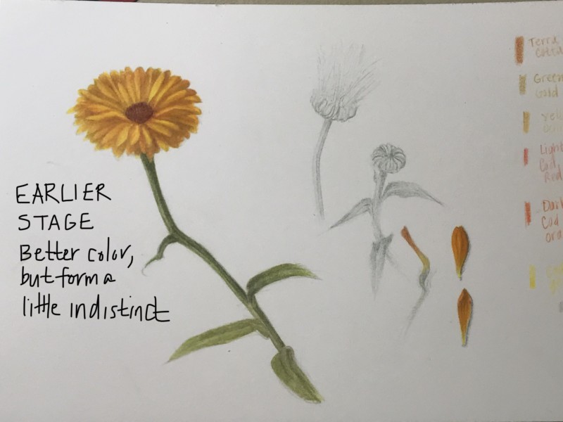 2a4a659b-ecc4-4372-be11-9ee4705da3cd