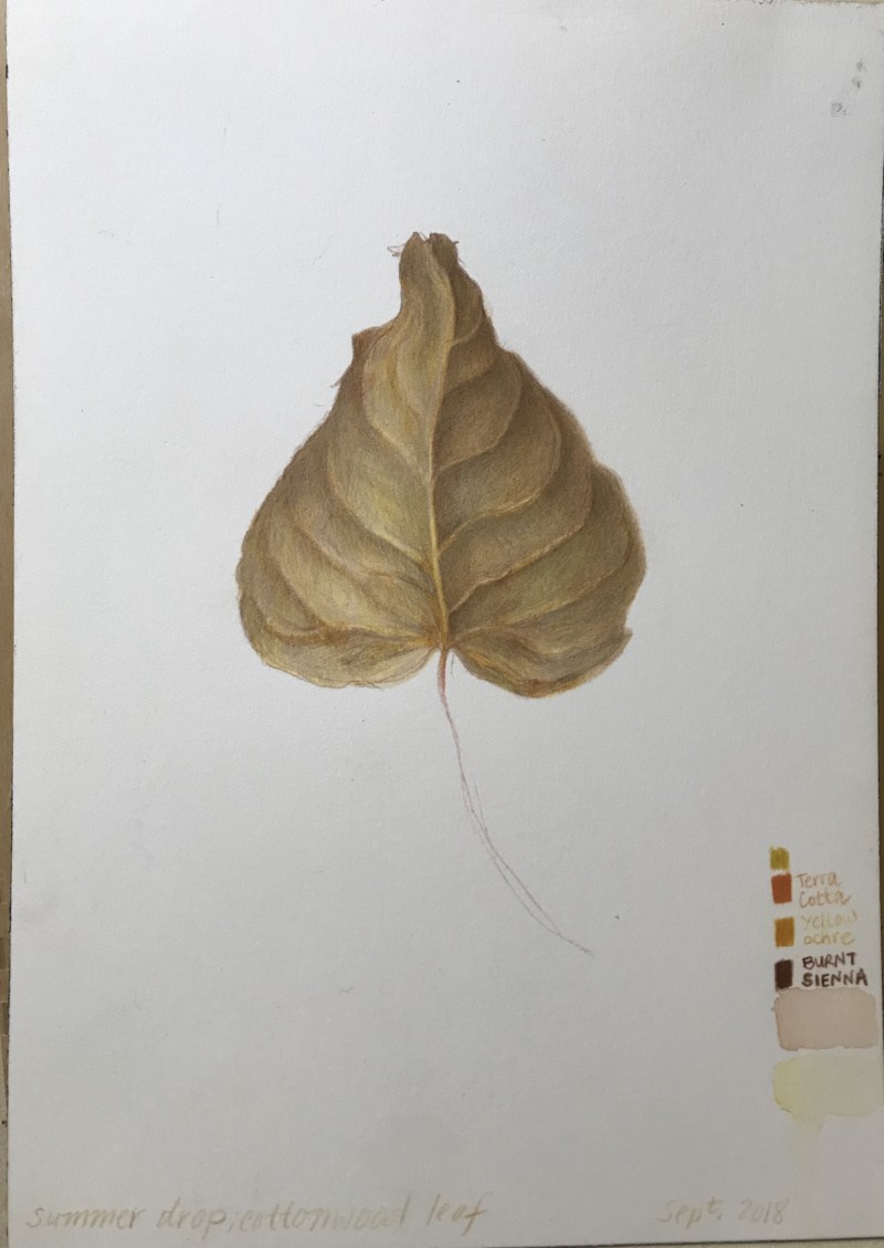 3664df51-9e8a-4a1e-92d7-8220386637dd