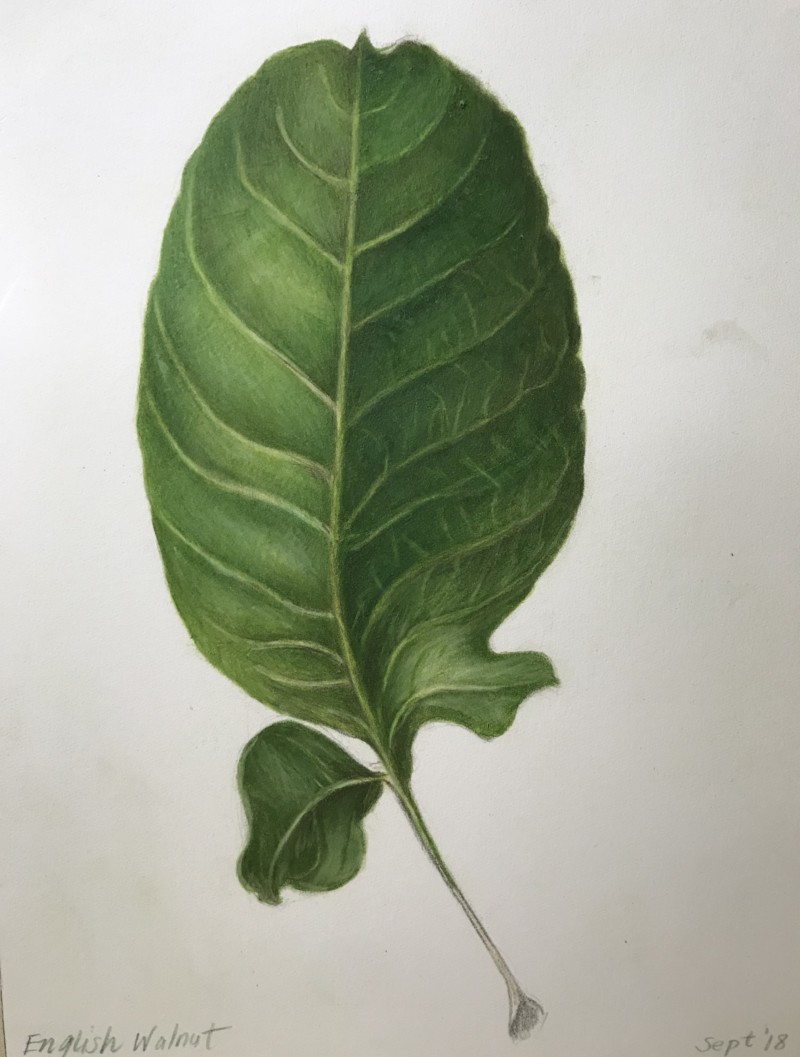 3a49d8da-df9c-4eed-b1ad-b555c03b412a