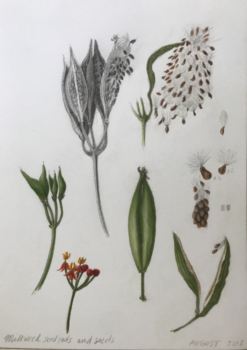 3b6a3d91-cd44-4cb6-9b8e-f52412c19faf