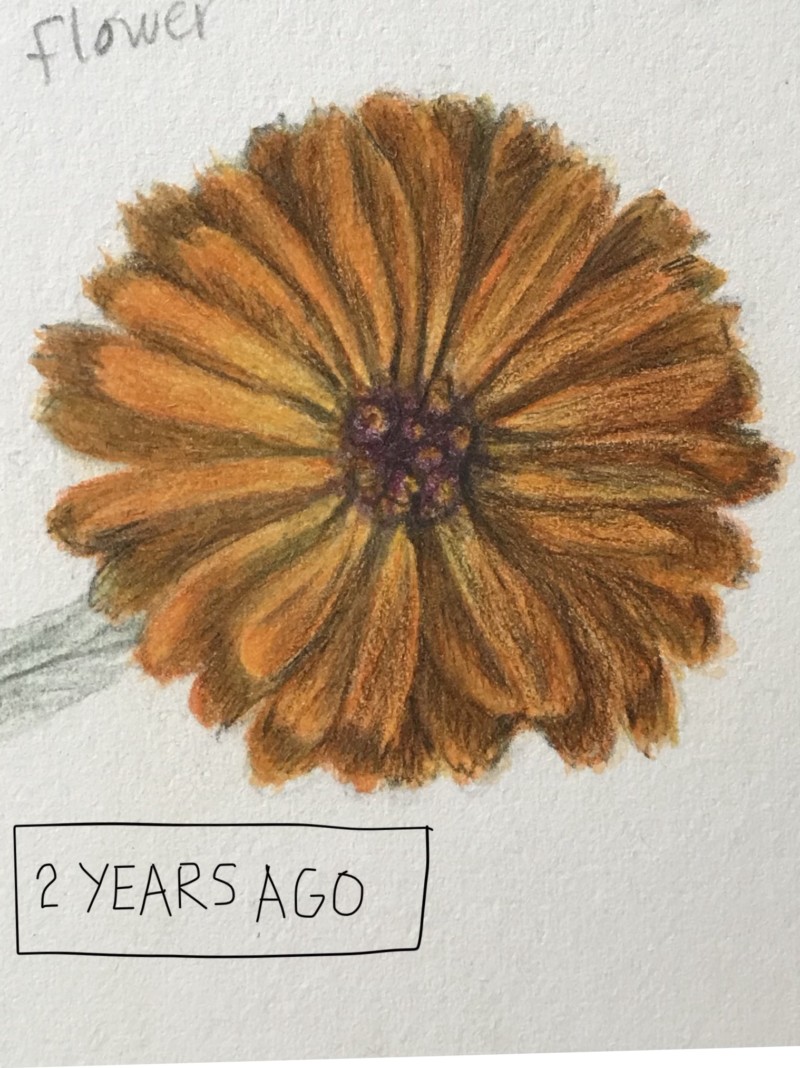 3c2c3b4f-f73e-4806-87dd-d0dc64d061dd