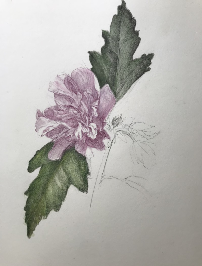 482bb1c7-ece2-4d49-89e8-ca38df46c676