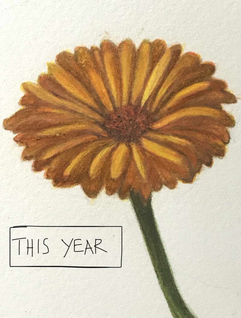 70d3c174-b279-4ba6-a9b9-0447ae1e923b