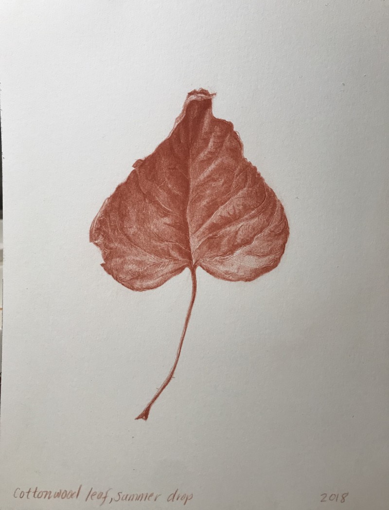 79f3e8d5-839f-4061-9294-bbcc3e9ea943