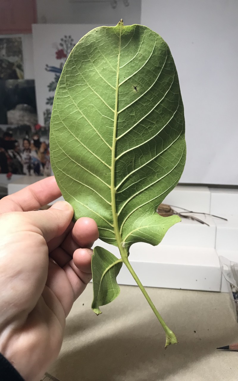 7cd0cbc9-da15-43e7-9386-95678ddda073