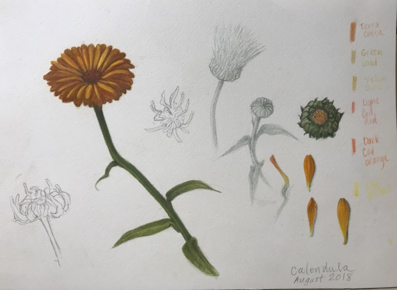 ea7af1d4-a3ec-46be-8c46-bea2b463fc8e