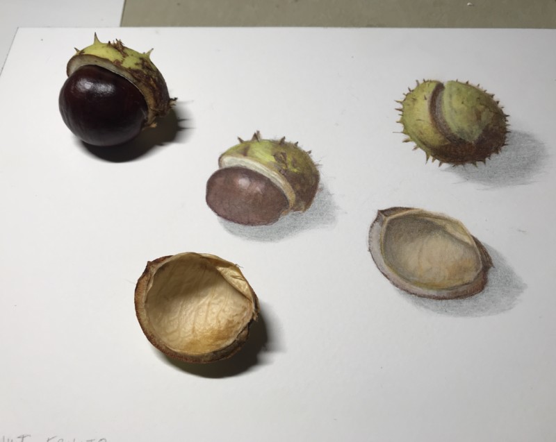 ed305f13-d213-4192-9e90-63633d4ddde6