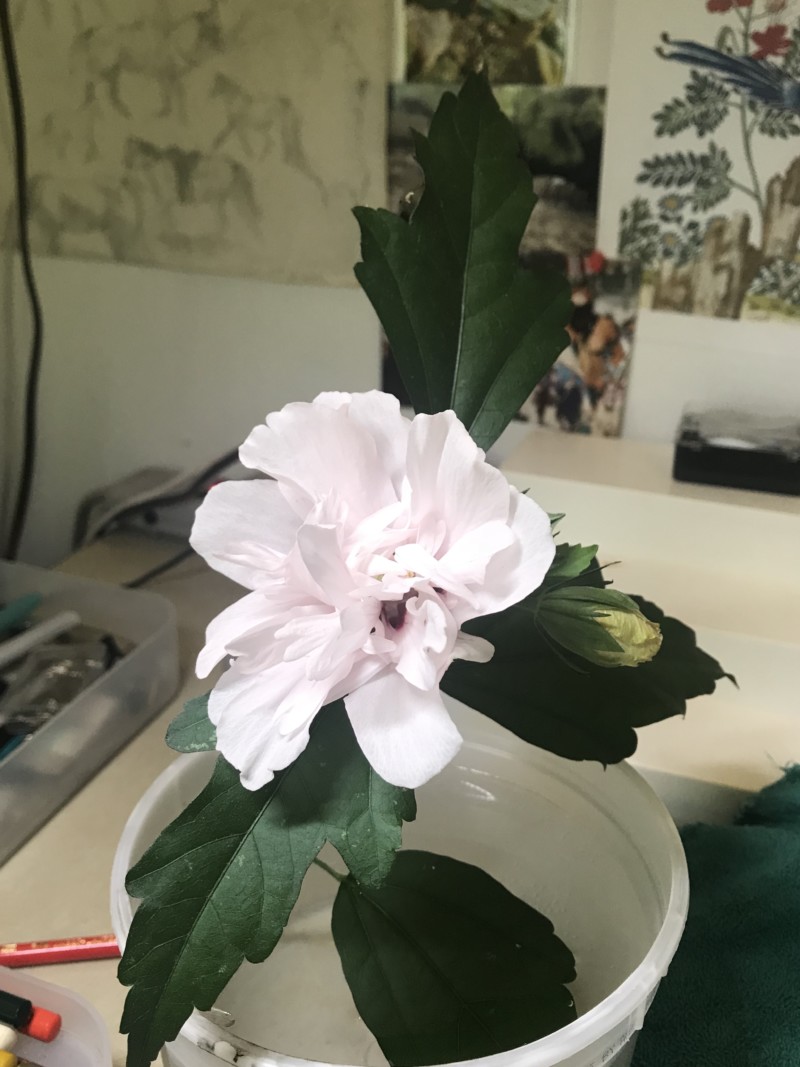 edfba7a8-90fd-4e0c-afc6-7f9c2b217af0