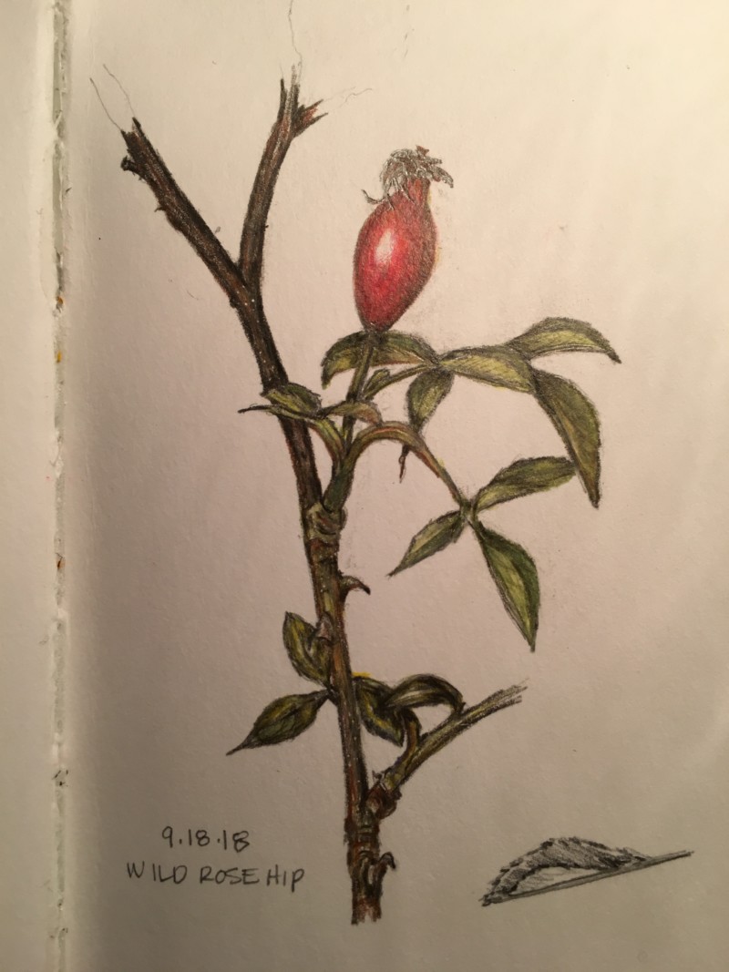 05a6bb4e-8552-415d-8c5b-7511e754c1dc