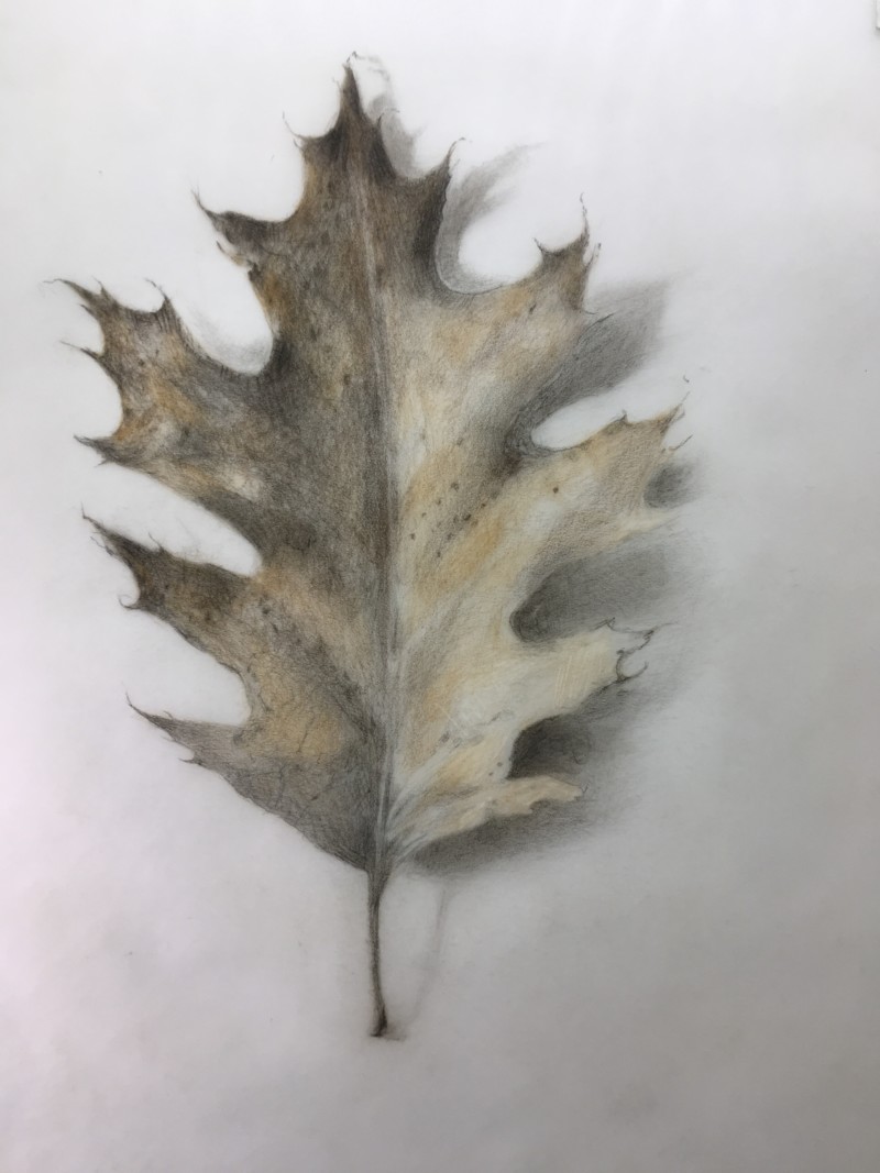 0d1874dc-9818-419f-ad71-c77b3abc5c2e