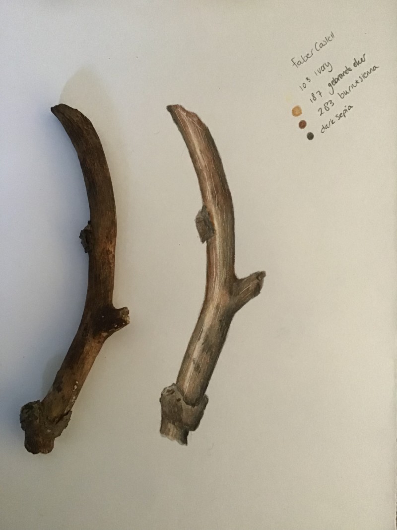 46b2ae00-b84b-4b98-9643-f0e0a3e84511