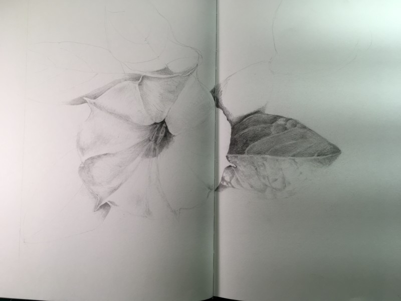 686a8bf7-a8bb-4551-9301-4bd47e9f5e49