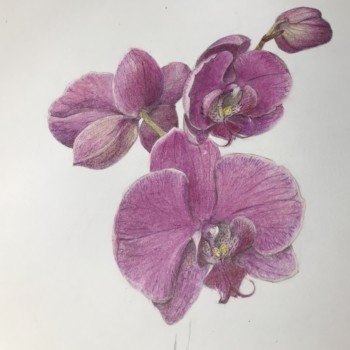 686cd21b-2495-4923-96a9-1910b2a5d026