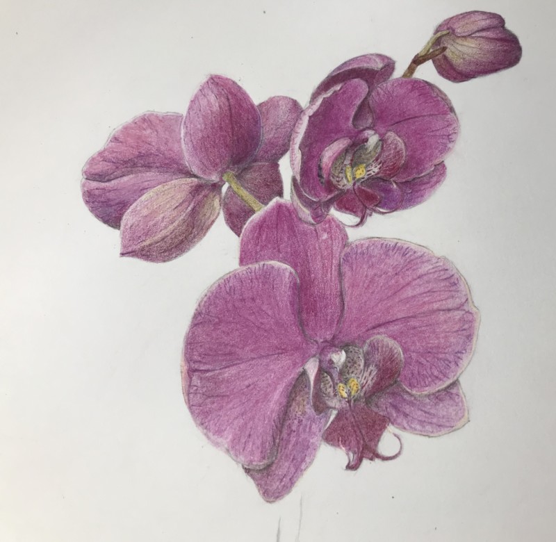 686cd21b-2495-4923-96a9-1910b2a5d026