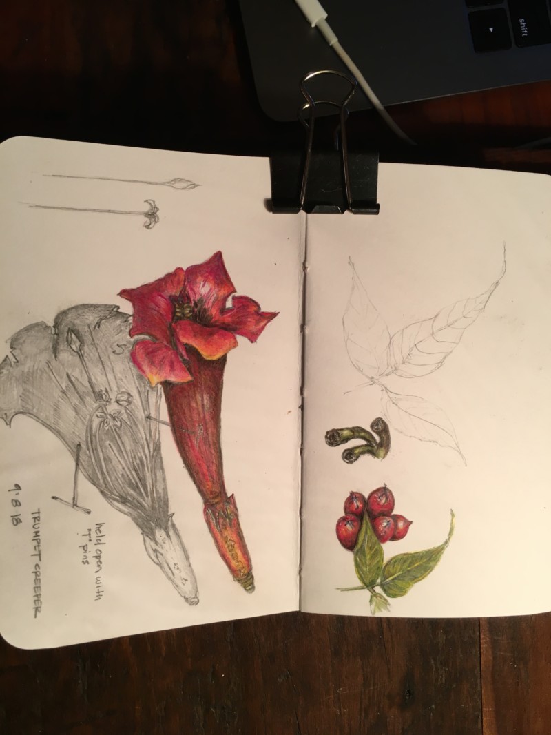 787ae594-de54-4eb6-a9e4-85b4c2deec41