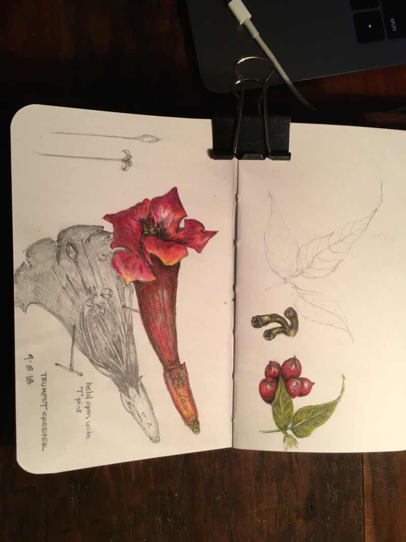 b5d12e7f-cf98-4e22-bf07-17565cf0eb0f