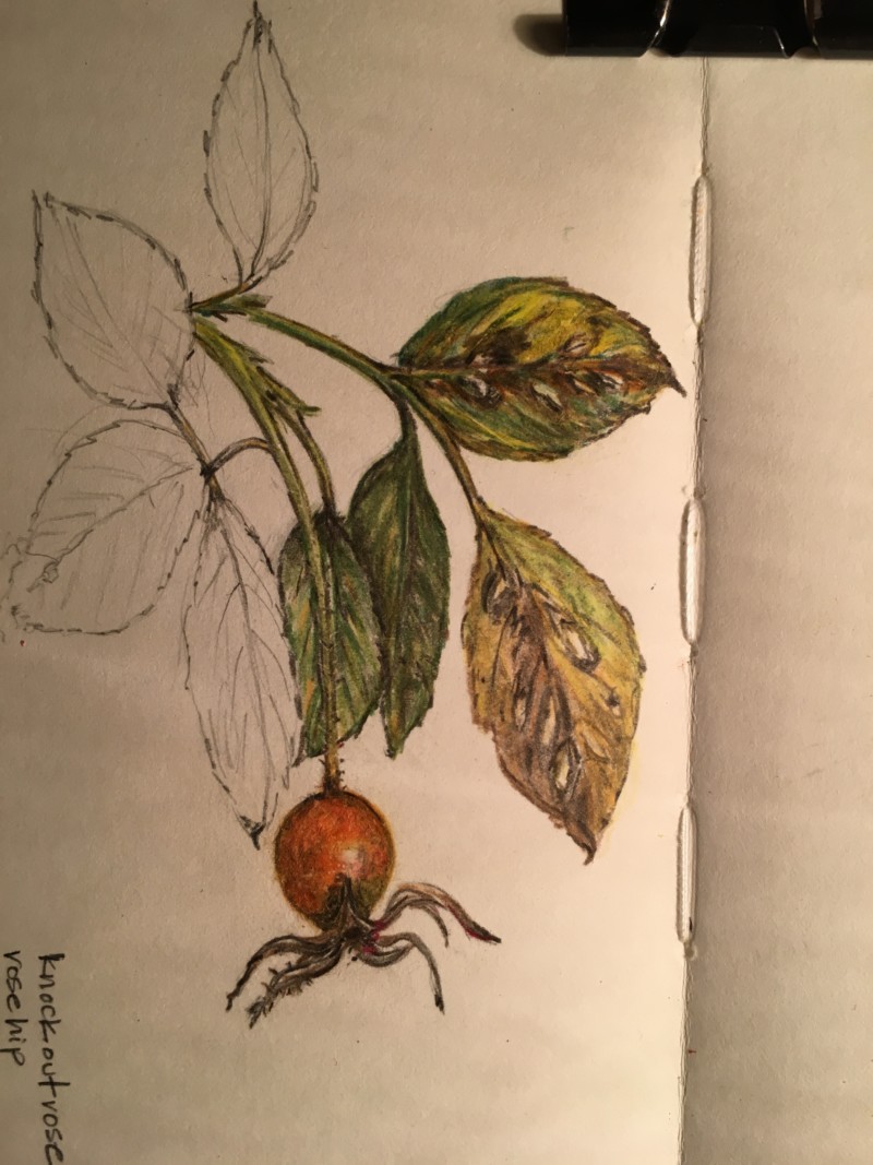 bdb5154c-3c8f-4a35-b5c5-8080c8661a2c