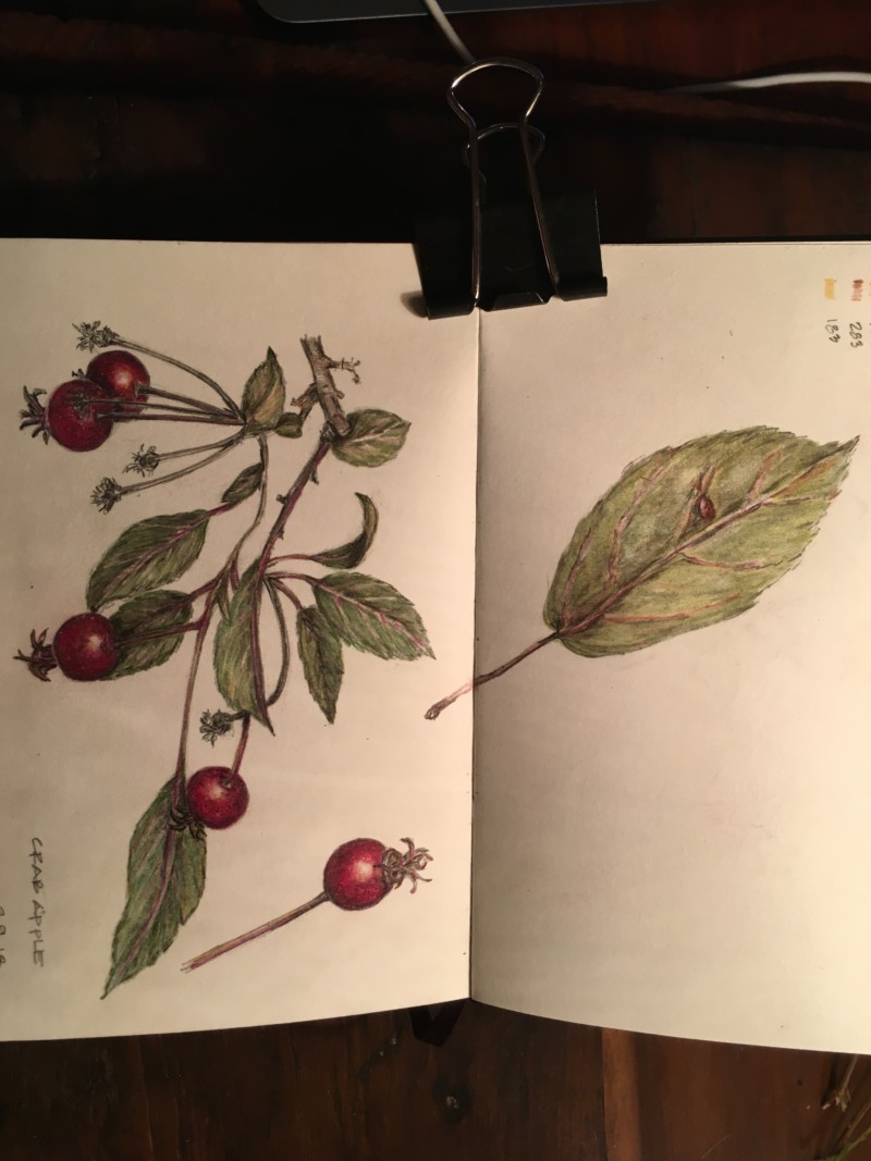 e36c4851-85fc-4080-aac1-9fa9a2ac527d