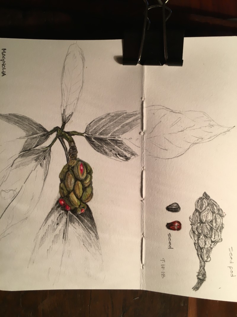 e98cda96-9f87-4ceb-9c6a-aa6e9839ec6a