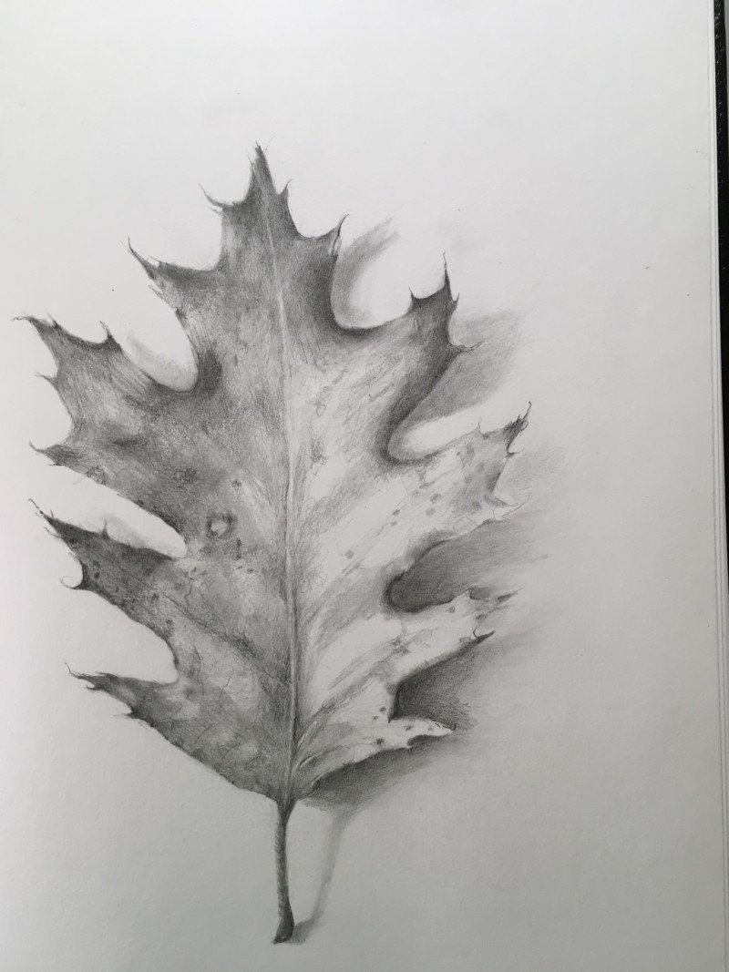 ead5a07a-2381-4945-a7af-b315ac28fe67