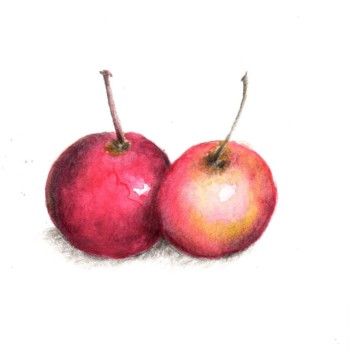 crab-apple-2