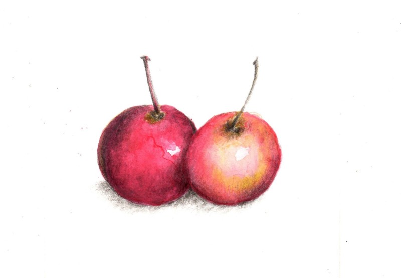 crab-apple-2