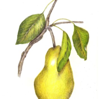 img20181013_11151386